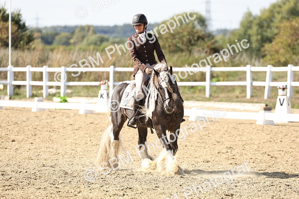 SBM_015275 - Class 9 - Advanced medium 3