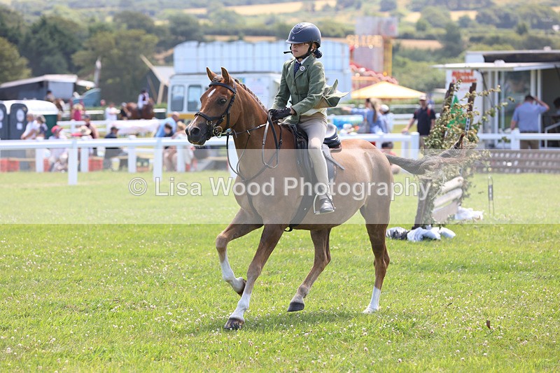 JPP_2656 - Class 21: Working Hunter 60cm