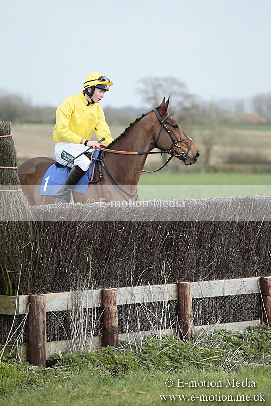 PtP 230319 4 - VWH Hunt Siddington Point-to-Point Racing 23/03/19