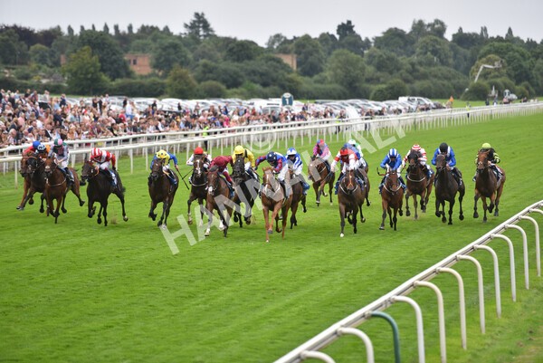 yr19082021r3-38 - Race 3 3.00pm Clipper Logistics Stakes