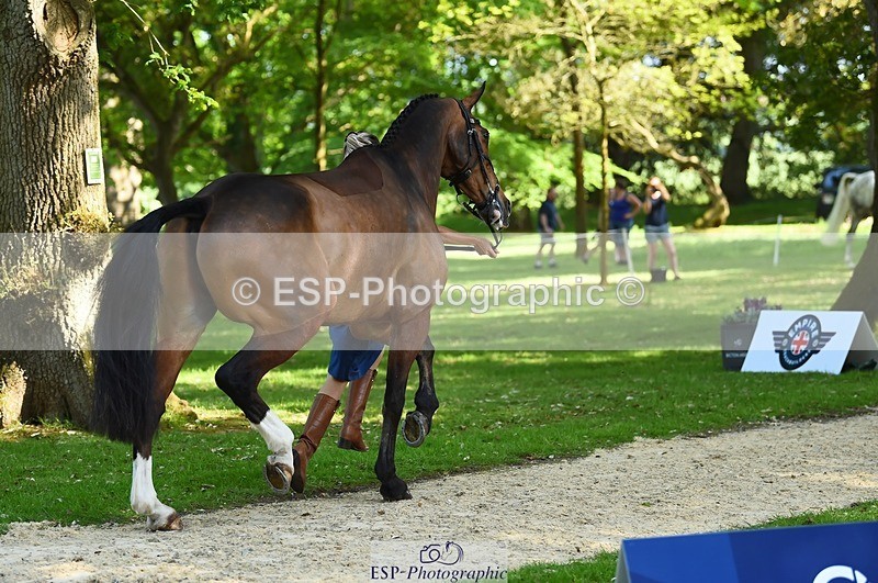 230524-161324-00771 - 256-ALS_RUSSIAN_ROLEX-Jemima_Howden-WEDTrotUp+DR
