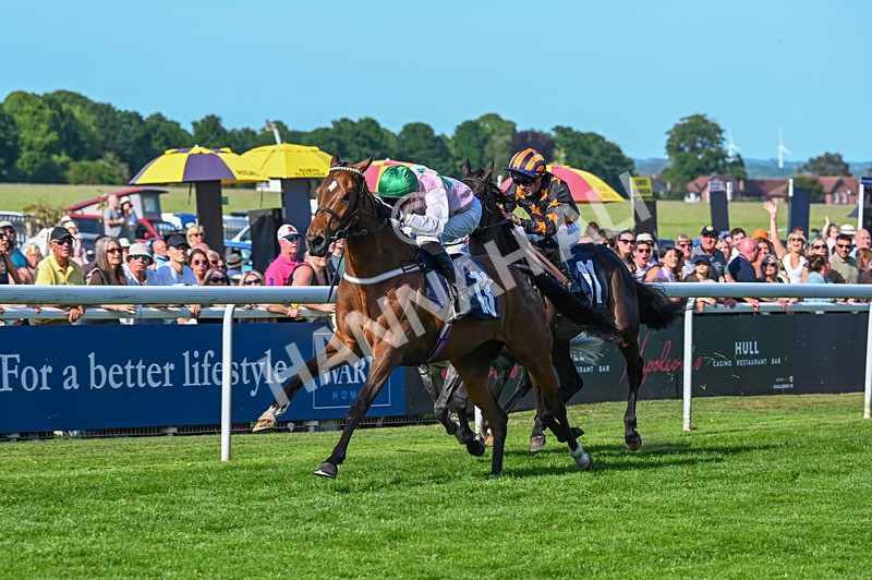 300526-Race 7-Anificas Beauty-7168 - Race 7 17.08pm Platinum Queen Play Live After Racing Handicap