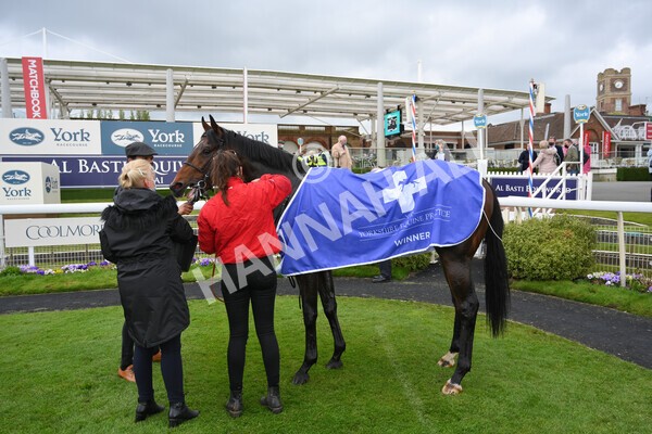 yr14052021r6-32 - Race 6 4.15pm Yorkshire Equine Practice Stakes