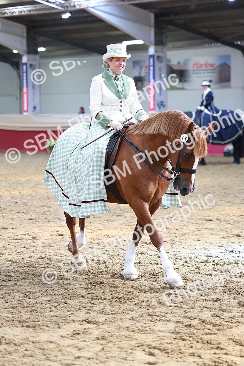 SBM_13703 - Class 106 - Ridden Costume -Astride Adult (15-19)