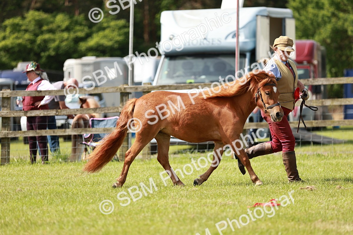SBM_02444