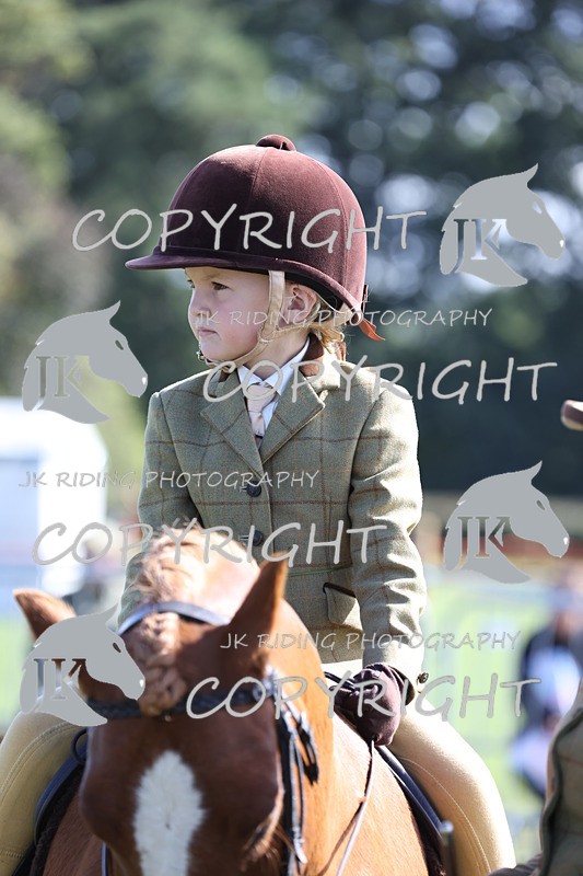 APP_3884 - Class 13 Lead rein