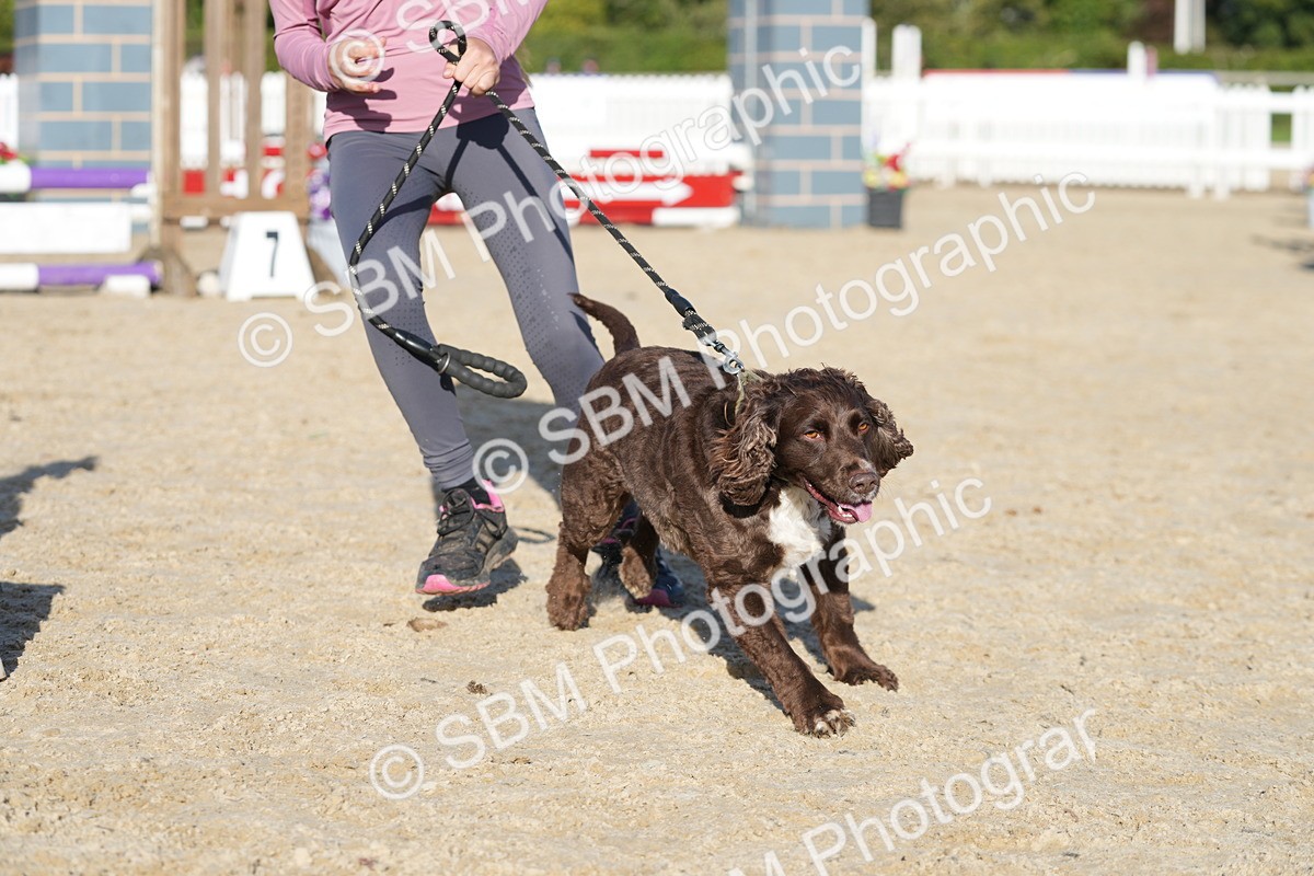 SBM_28956 - J43 - Horse & Hound Open 50cm