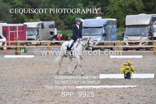 BPP_9925 - SHORT ARENA  MY QUEST PRELIM