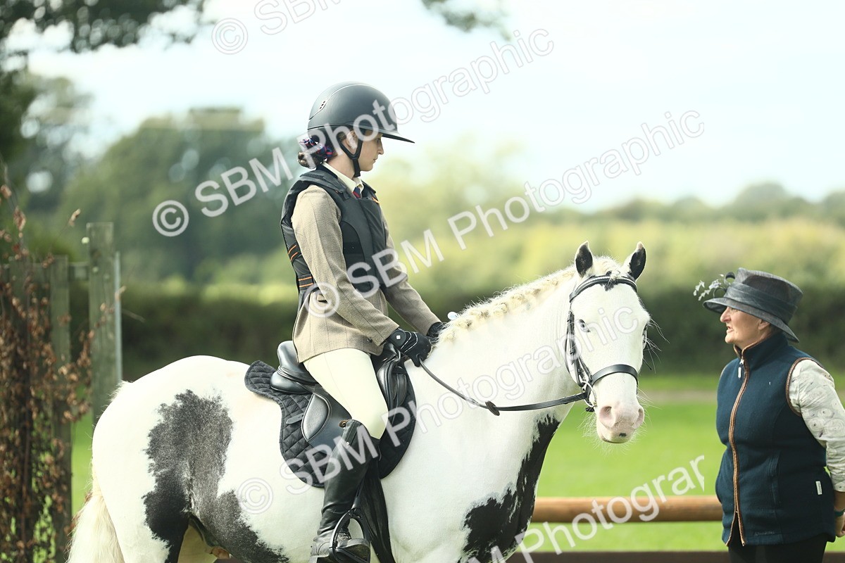 SBM_44696 - S31 - Working Hunter Pony