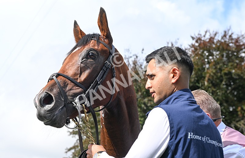 190826-059 Haffner - Race 2 14.25pm Tattersalls Acomb Stakes