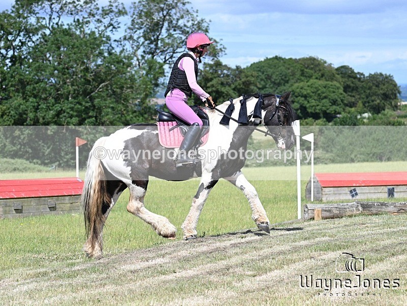 WJ7_9115 - Kellie Jade Ellie XC training with Kelly Harris 28-06-26