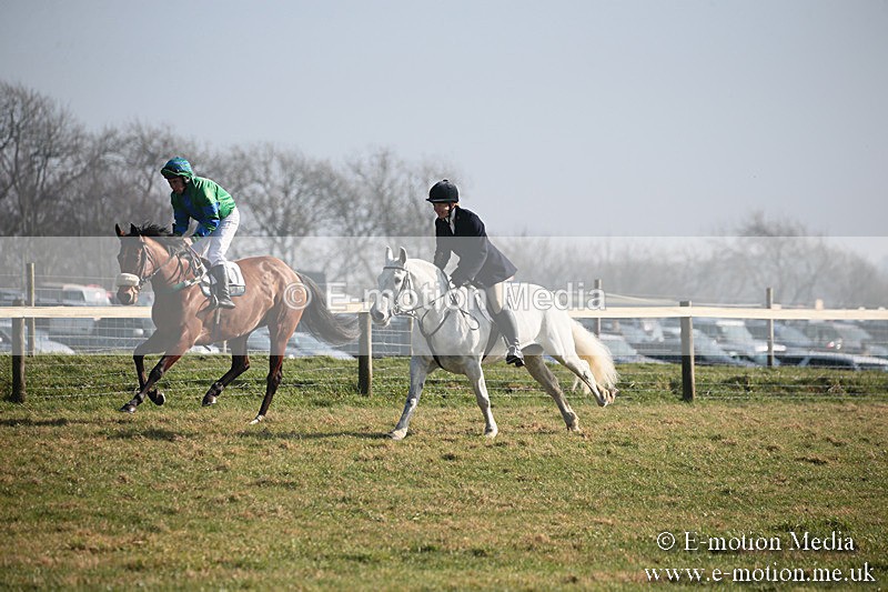 PtP 230219 122 - Vine & Craven Point-To-Point - Barbury 23/02/19