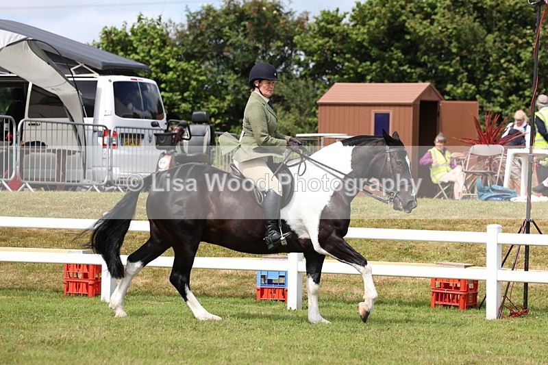 3E7A0180 - Class 6: Rising Star Maxi Cobs