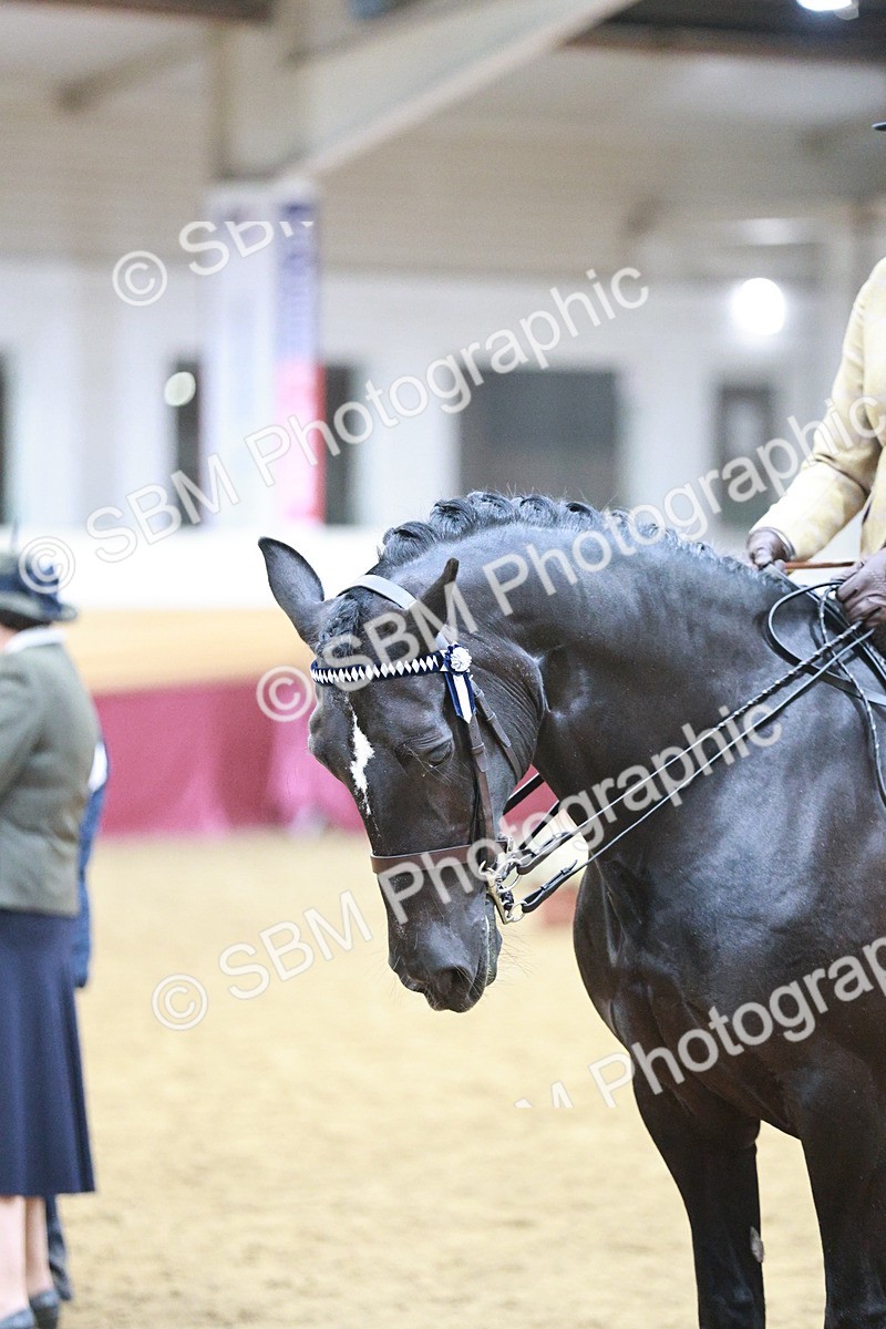 SBM_09007 - Class 12R - Regional Ridden Pre-Vet