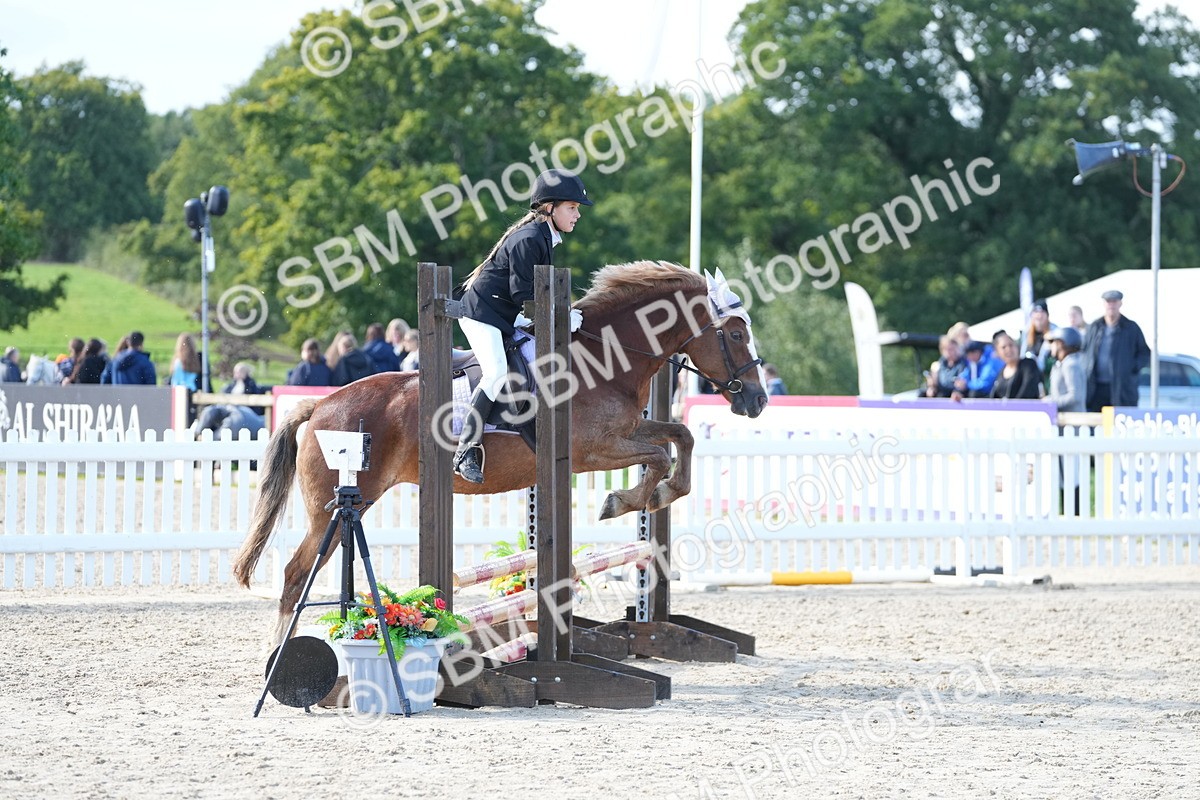 SBM_38250 - J6 - Junior Pony 55cm Championship