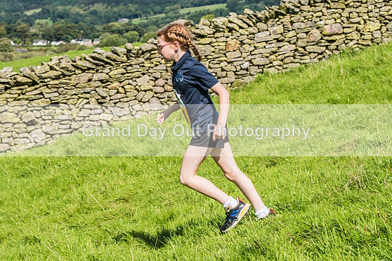 Loweswater Show-82 - Loweswater Show Junior & Senior Fell Races Sunday 3rd September 2023