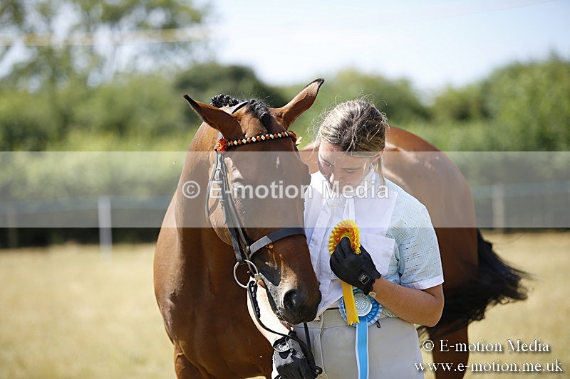 _C7A9803 - BVRC Sow 2018 Ring 2