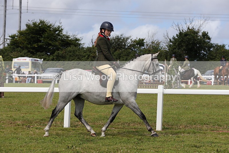 1X9A3943 - Class 32: Show Hunter Pony 153cm and under