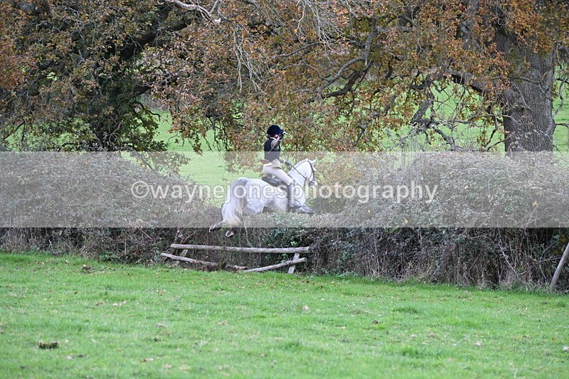WJ6_1546 - Camera 1