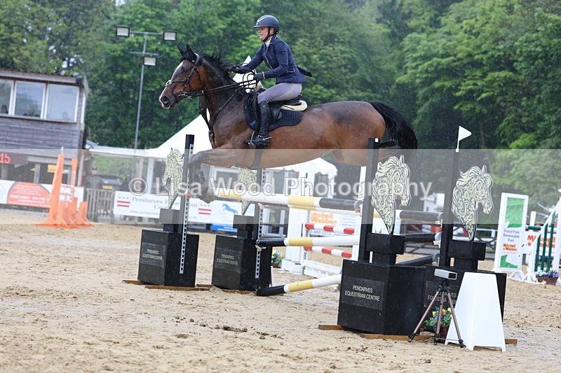3E7A7429 - Class 8: Senior Foxhunter/1.20 open