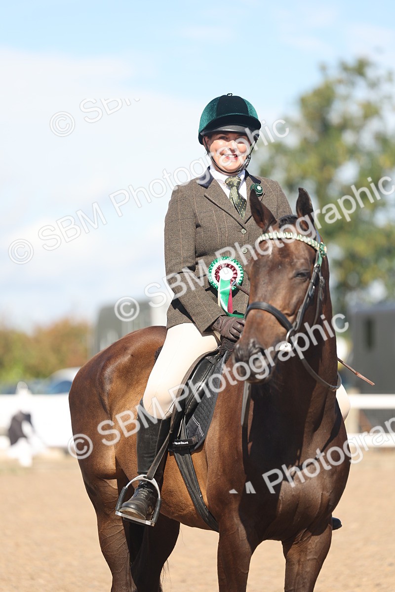 SBM_13134 - Class 305 - Ridden Foreign Breed Pure Bred