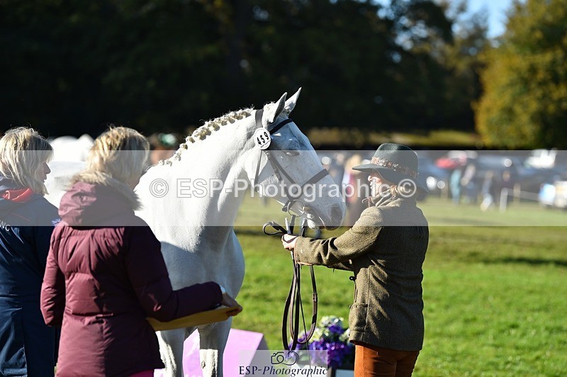 231022-103248-22554 - 459-CEIDE.HUMPHRY-Helen.Hickson-TrotUp+SJ