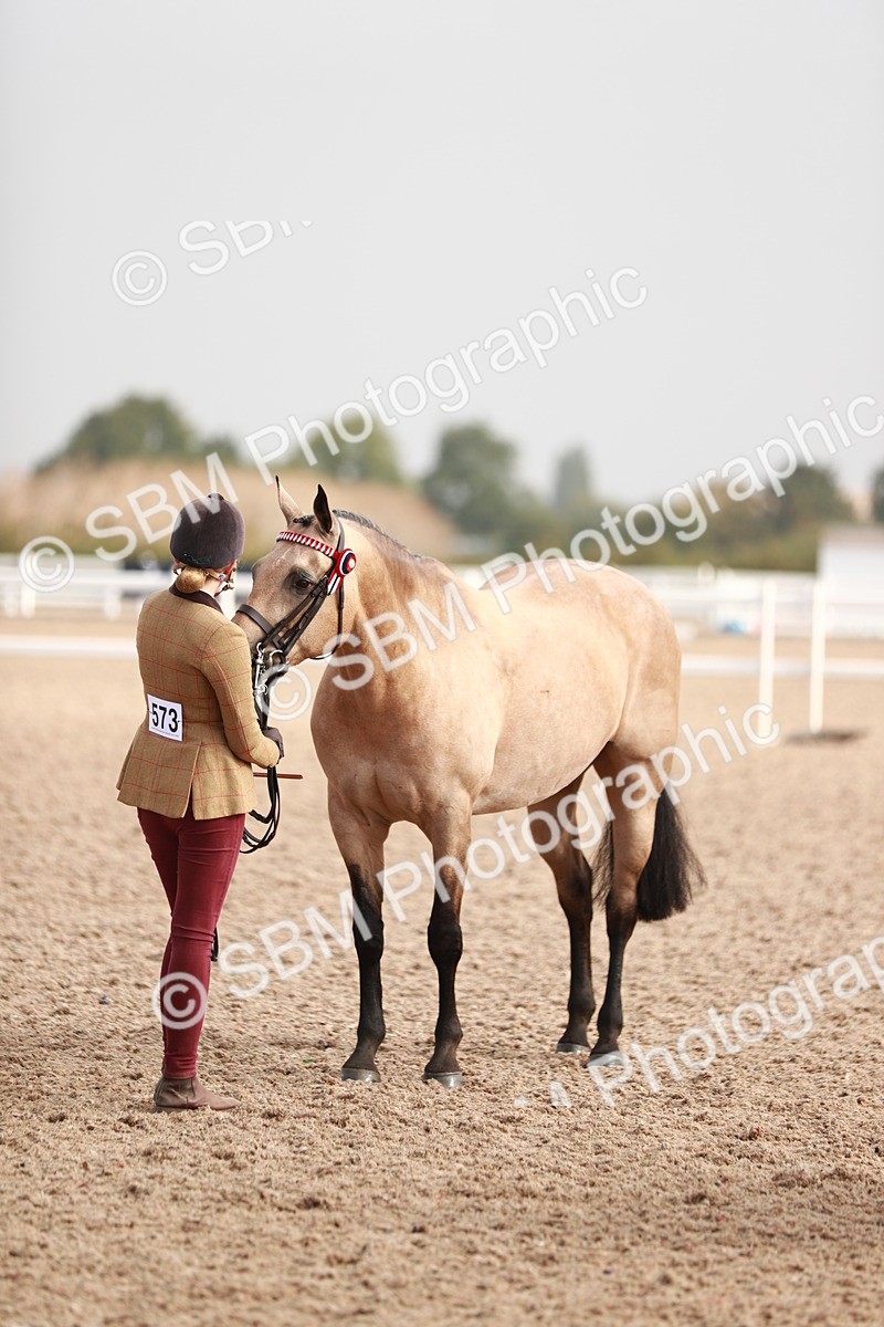 SBM_10549 - Class 204 Young Handler, 11-16 years