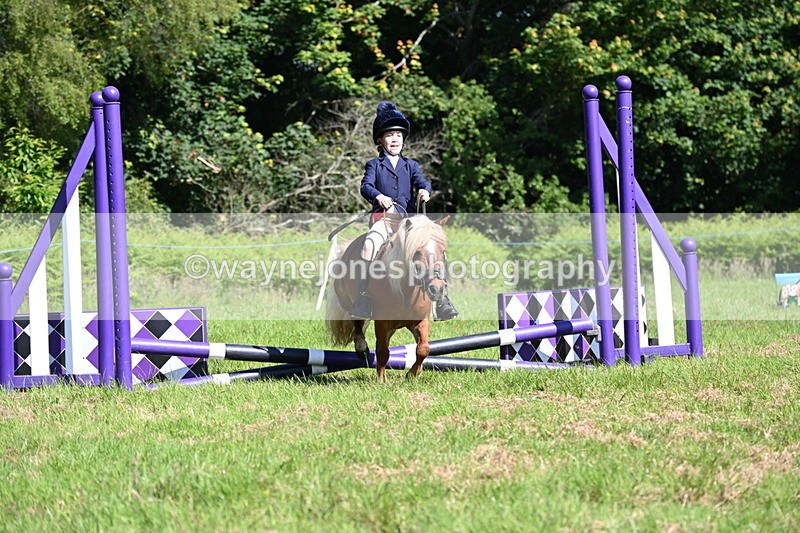 WJ6_3741 - Class 1 Tiny Cross Poles