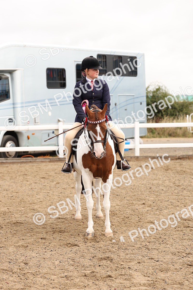 SBM_01648 - Class 52 - Ridden Veteran