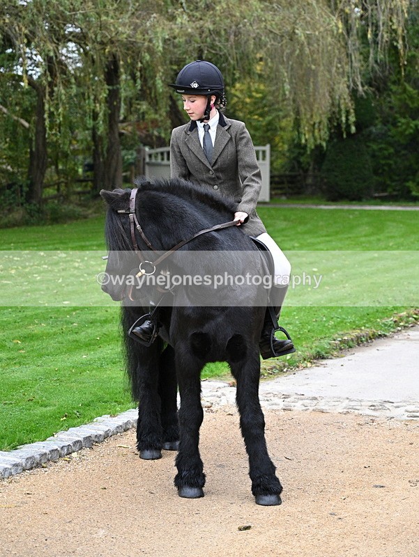 WJ7_5869 - Berks & Bucks - Children's Meet - The Old Farmhouse – Steventon.