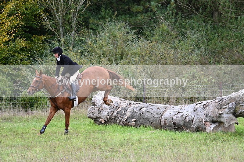 WJ7_3862 - Camera 1 Line 1