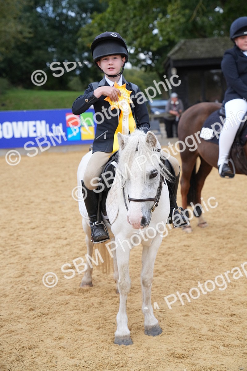 SBM_74930 - J4 - Mini Tour Junior Pony 45cm Championship