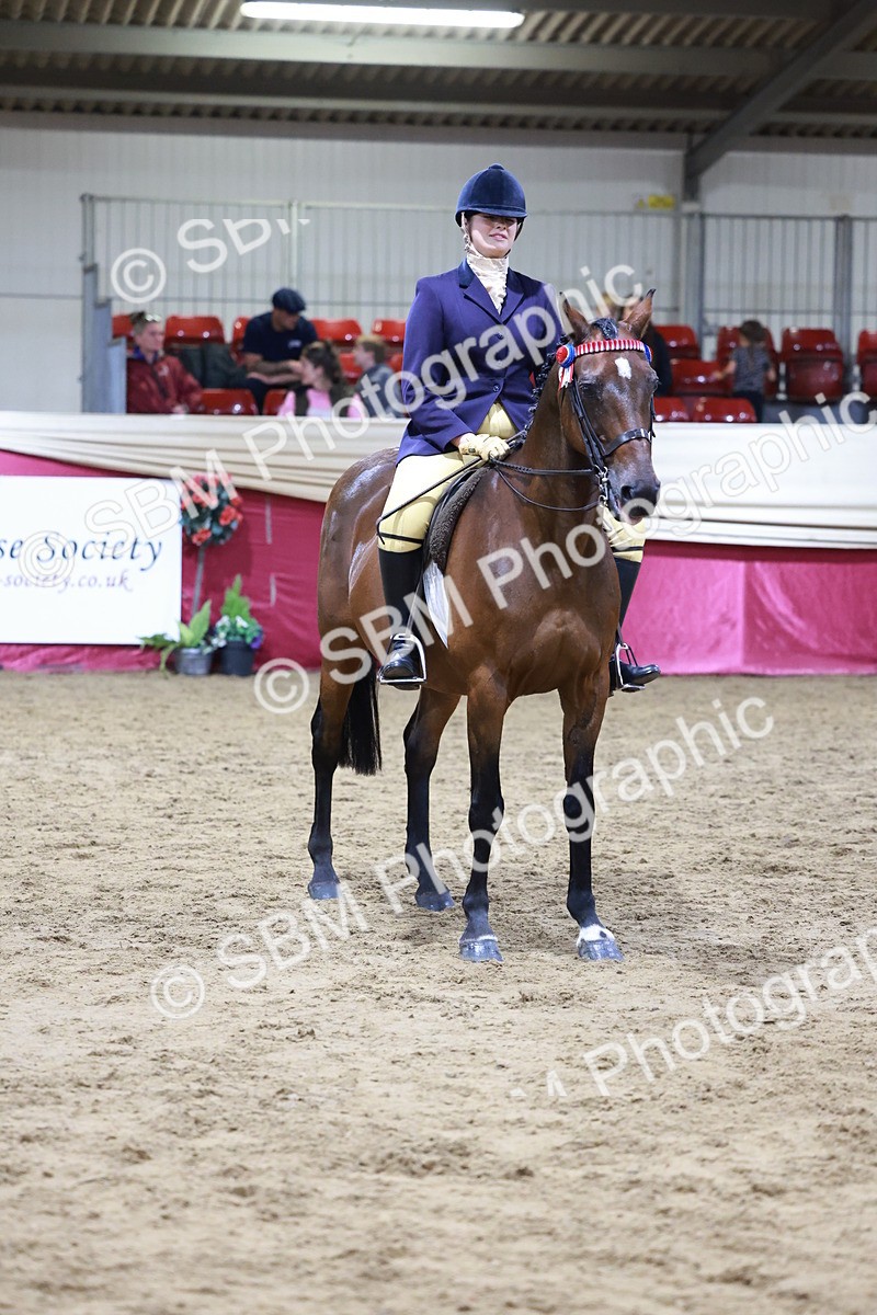 SBM_20564 - Class H - IH Competition - Riding Club champ