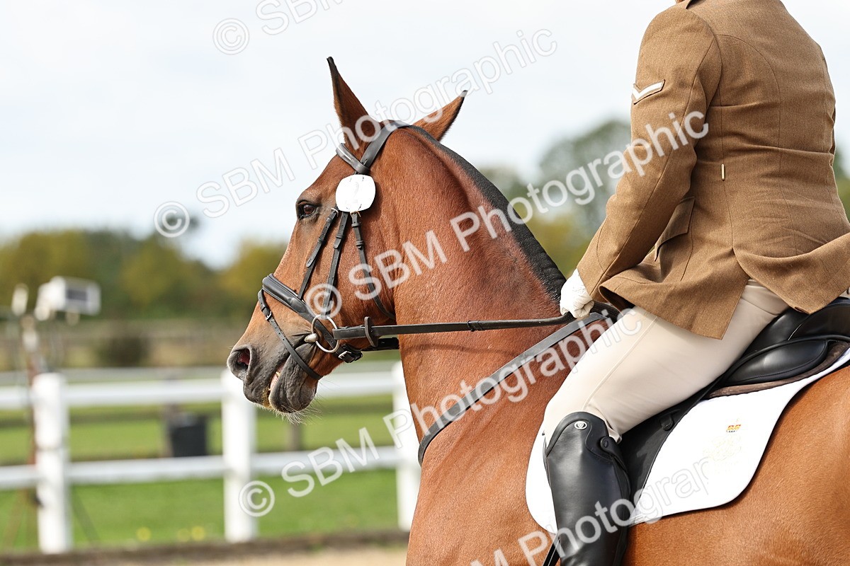 SBM_004443 - Class 69 - Novice 2