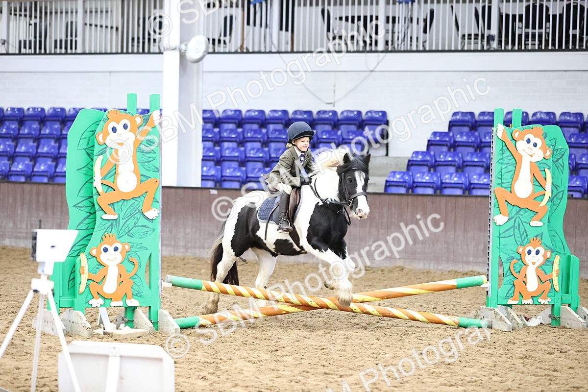 SBM_000172 - Class 2 - The Rug Lady 40cm Area 12 Championship Qualifier