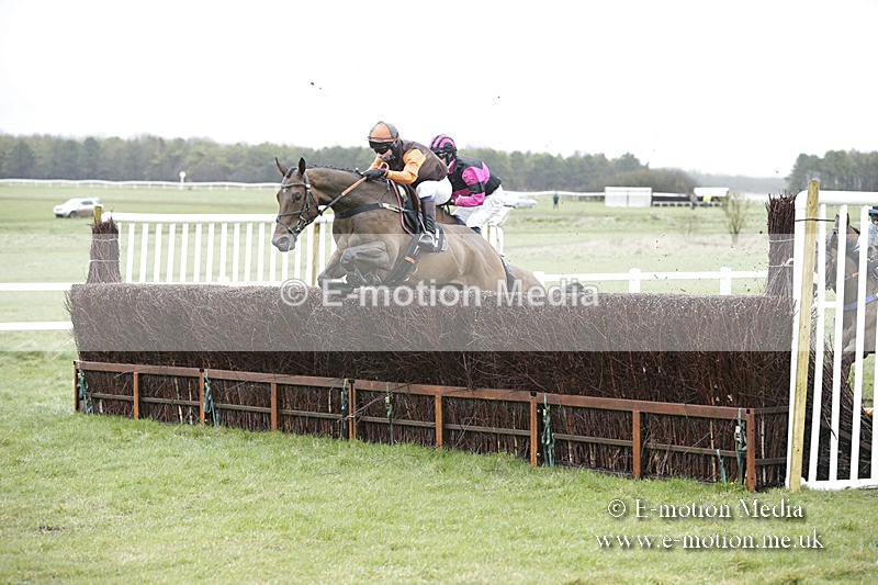 PtP 150320 0193 - New Forest Point-to-Point Larkhill 15/03/20