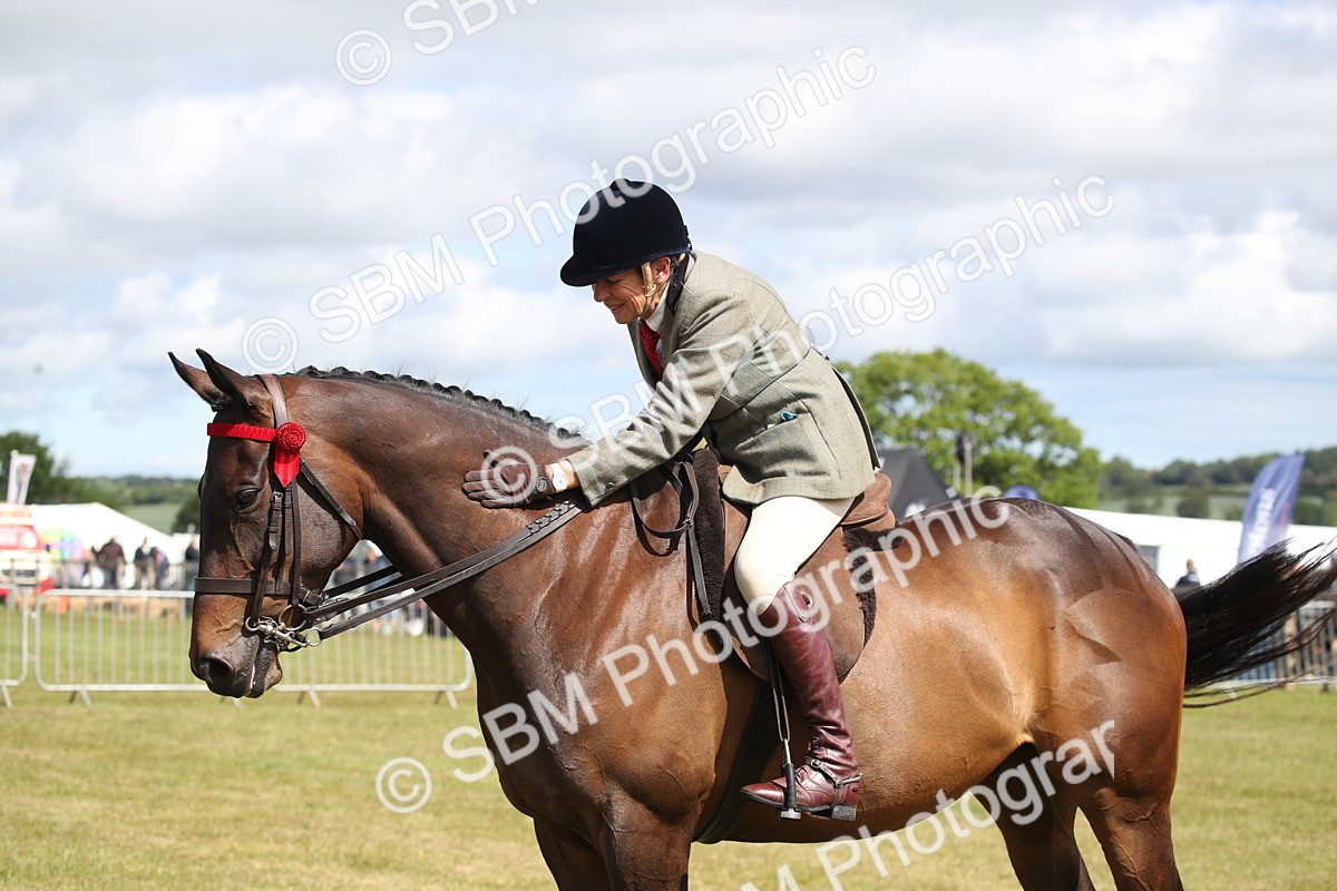 SBM_13330 - Class 95-96 - LIHS BSHA Rising Star Hack Riding Horse
