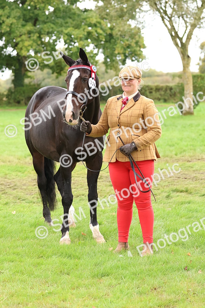 SBM_41730 - S26 - Mature Veteran In Hand