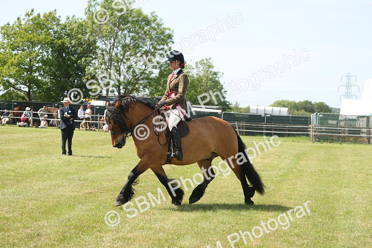 SBM_07692 - Class 26-30 - Mountain and Moorland Ridden