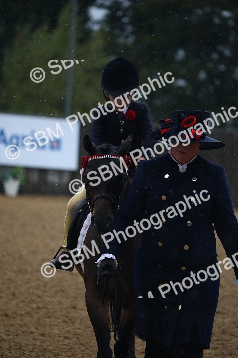 SBM_34701 - D26 - Starters Lead Rein