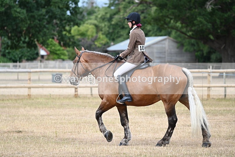 WJ6_7358 - Class 9 Tack and Turnout