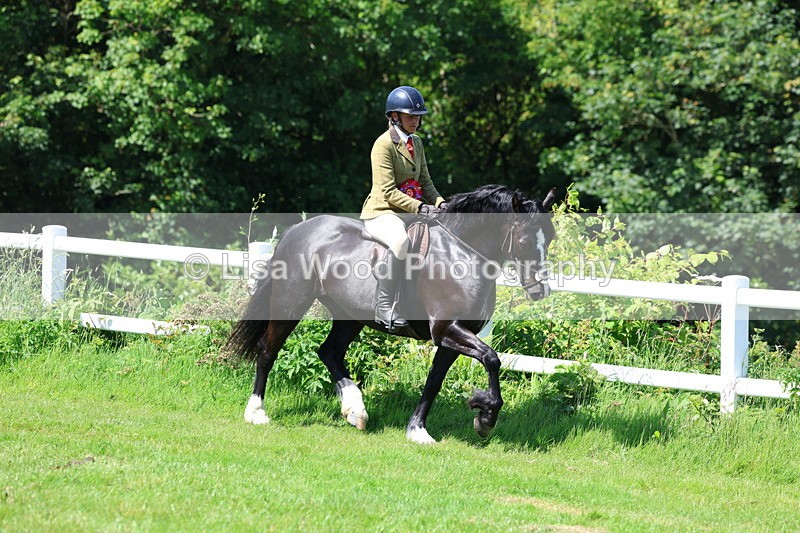 3E7A6736 - Working Hunter Pony Championship