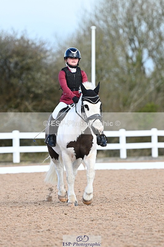 240323A-101811-01132 - MyQuest Prelim 12