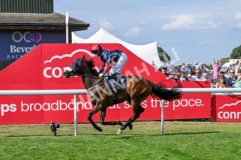 140825-Race 5-Chillhi-1538 - Race 5