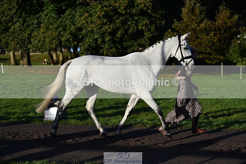 231022-090416-21543 - 616-HER.NAME.IS.LOLA-Emma.Farrar-TrotUp+SJ