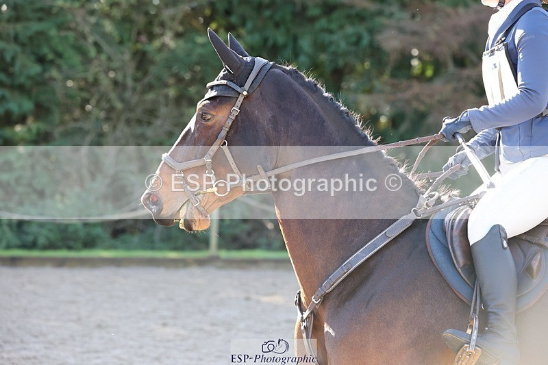 241027-111743-16683 - 357-Eleanor.Newcombe-MR.DARCY