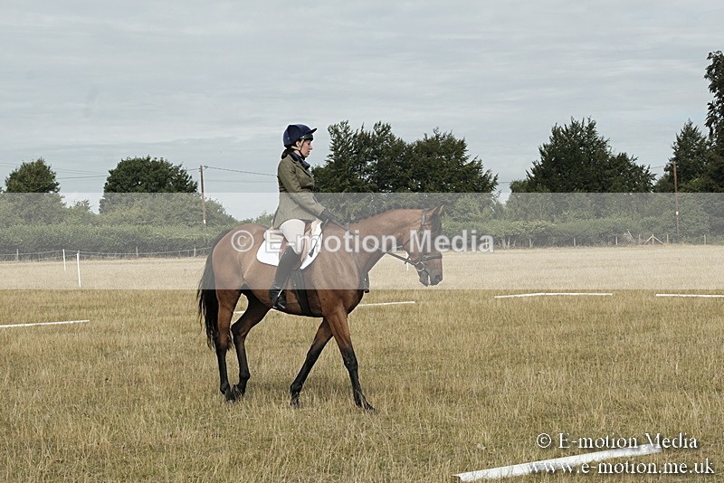 _PJP5640 - Dressage Classes BVRC Show 2018