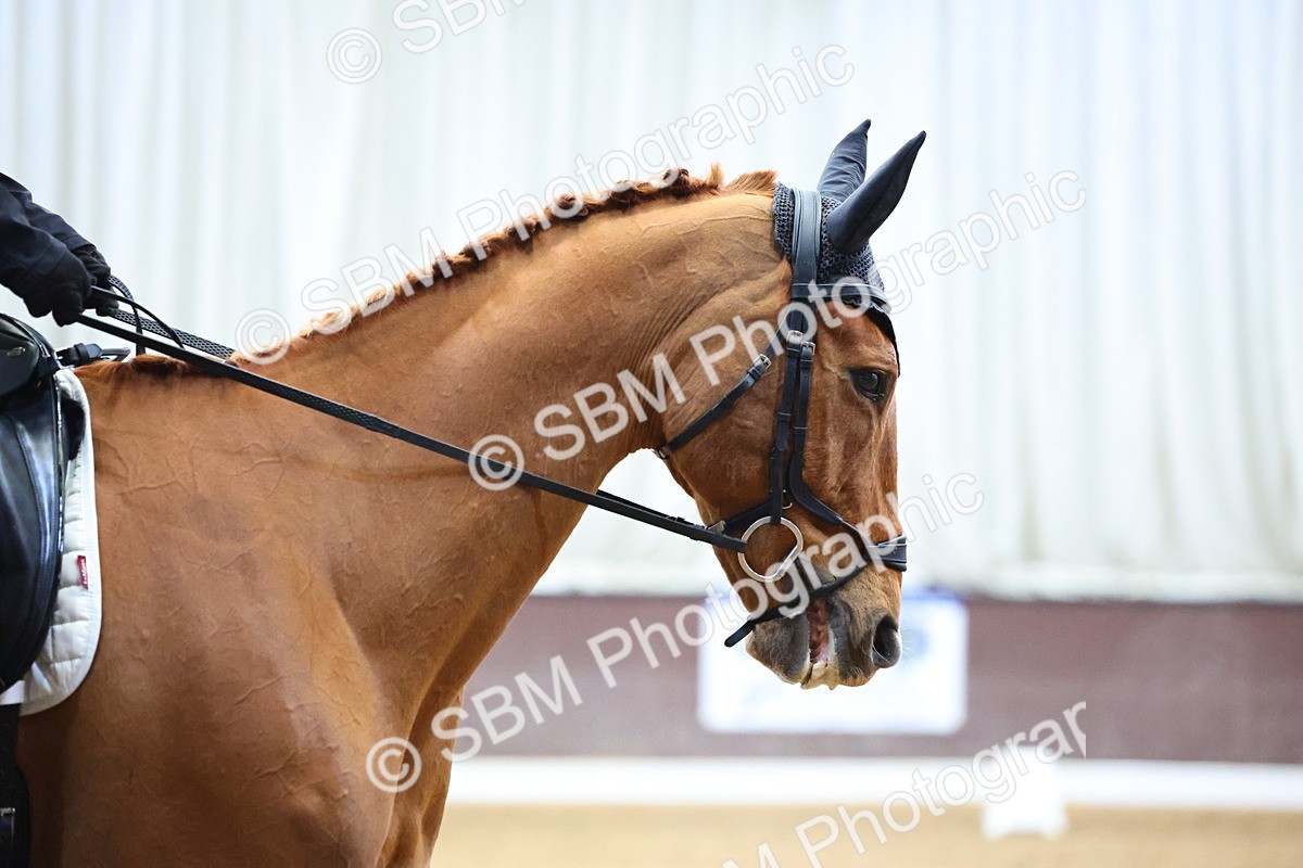 SBM_006560 - Class 12 - Prelim 5