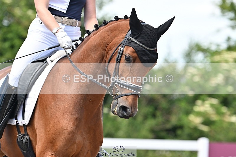 240621A-124218-02212 - Cls 7 BD Elementary 45