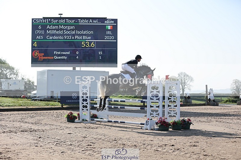 250427-084102-14590 - Cls 28 Young Horse 5yr old